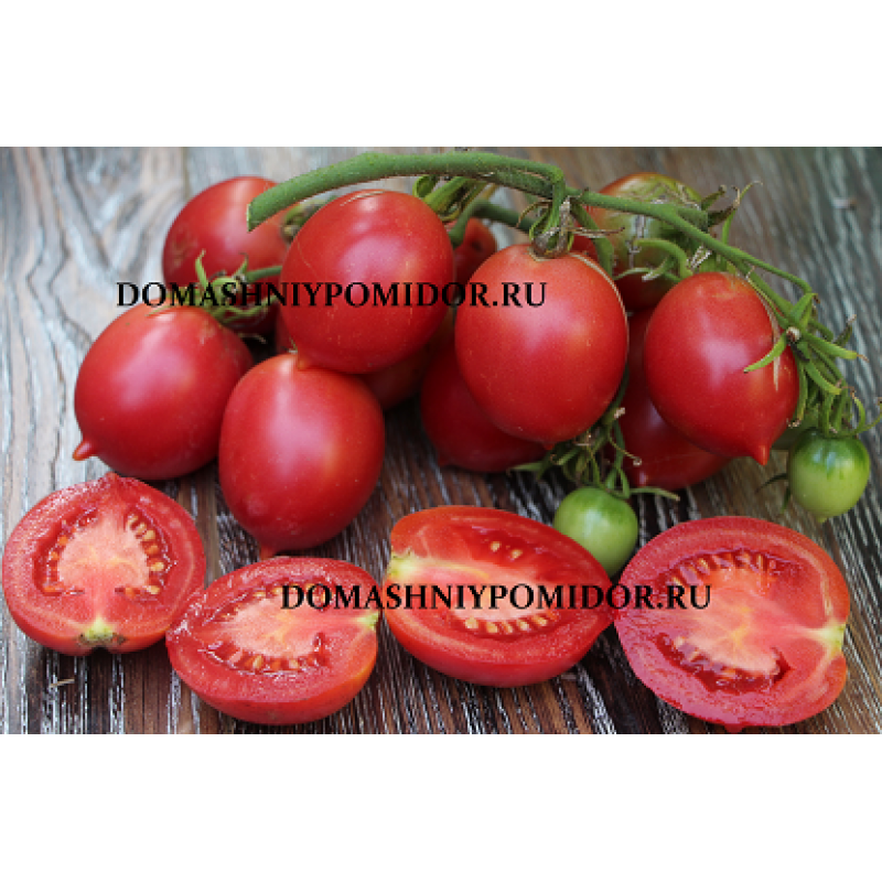 Сызранская пипочка